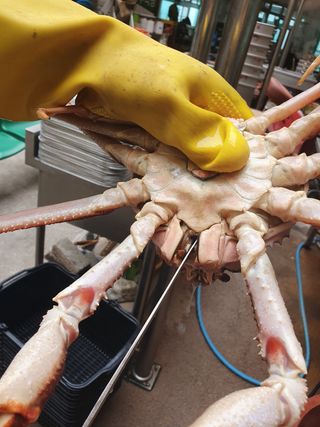 λ
Έκ°λ€μμ°λμ μ°λ¦¬λλ€ Β· λλ€μ 보 μμ±κΈ μ¬μ§