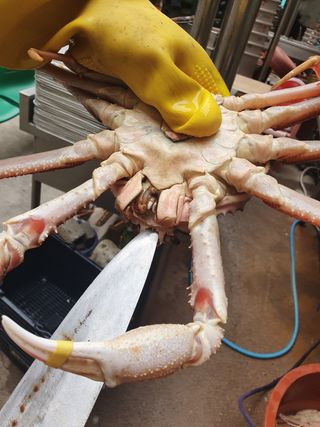 λ
Έκ°λ€μμ°λμ μ°λ¦¬λλ€ Β· λλ€μ 보 μμ±κΈ μ¬μ§