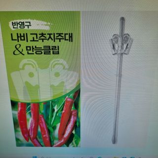 협진산업님의 고추 · 지주설치•유인•성장 작성글 사진