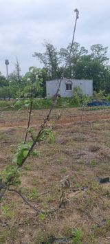 팜모닝 우리동네·동네질문 게시글 이미지