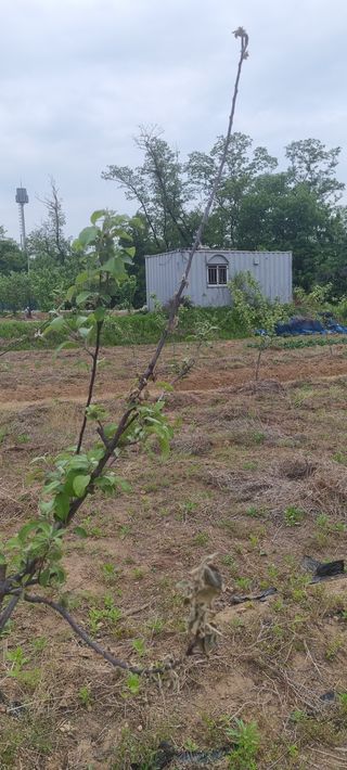 오산농업인님의 우리동네 · 동네질문 작성글 사진