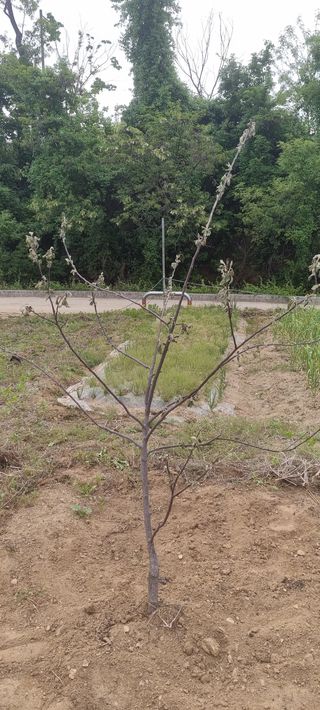 오산농업인님의 우리동네 · 동네질문 작성글 사진