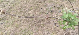 오산농업인님의 우리동네 · 동네질문 작성글 사진