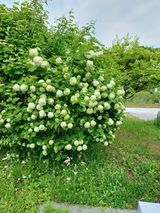 팜모닝 우리동네·동네자랑 게시글 이미지