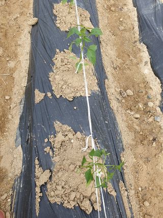 장순영님의 자유주제 · 자유게시판 작성글 사진