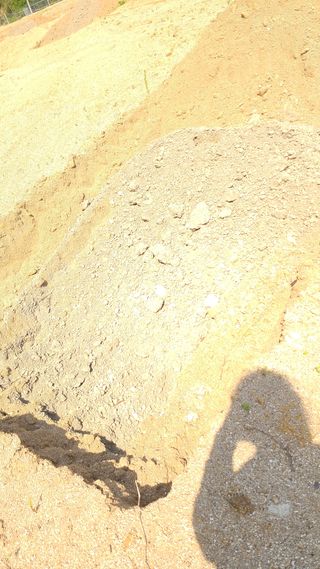 강릉 농사초보자님의 자유주제 · 자유게시판 작성글 사진