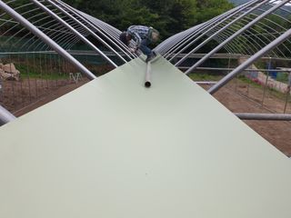 머치자연인님의 두릅 · 일상 작성글 사진