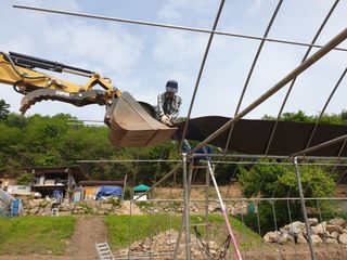 머치자연인님의 두릅 · 일상 작성글 사진