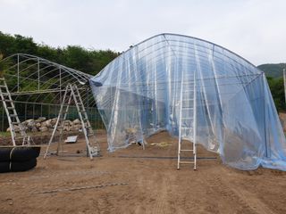 머치자연인님의 두릅 · 일상 작성글 사진