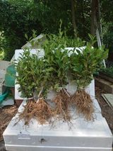 팜모닝 · 게시글 이미지