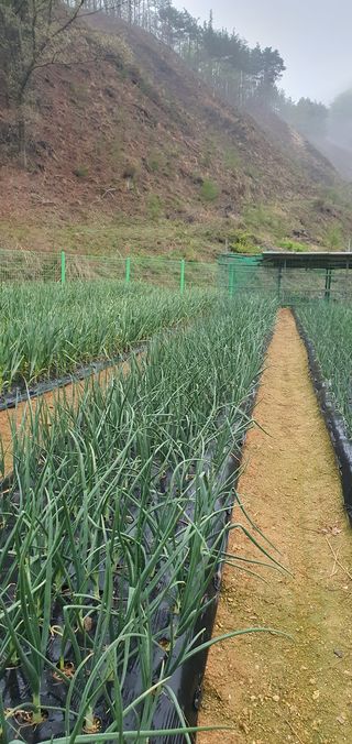 인동초재옥님의 우리동네 · 동네수다 작성글 사진