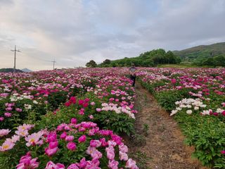 이호성님의 작성글 사진