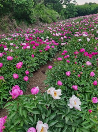 이호성님의 작성글 사진