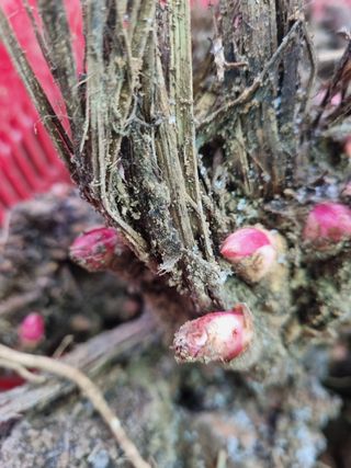 이호성님의 작성글 사진