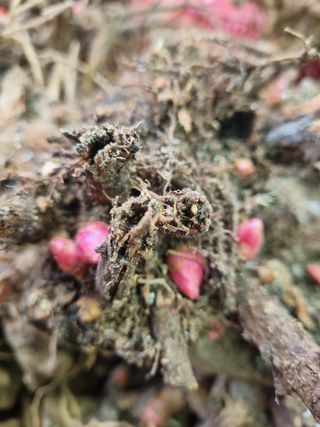 이호성님의 작성글 사진