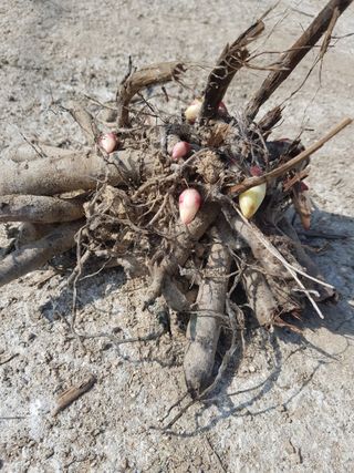 이호성님의 작성글 사진