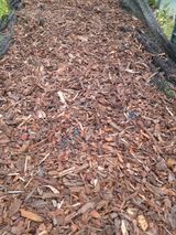 팜모닝 기타작물·자유게시판 게시글 이미지