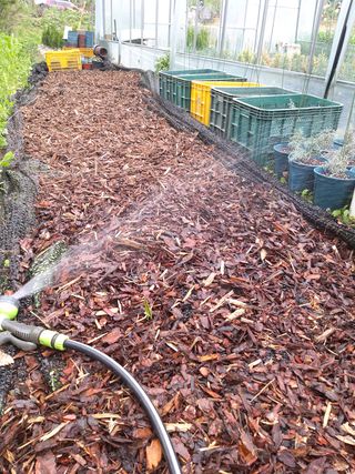 충남 아산 박양석 님의 기타작물 · 자유게시판 작성글 사진