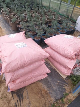 충남 아산 박양석 님의 기타작물 · 자유게시판 작성글 사진