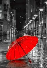 팜모닝 자유주제·자유게시판 게시글 이미지