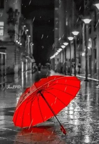 대삼팜스빌리지님의 자유주제 · 자유게시판 작성글 사진