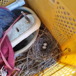 곽철수님의 자유주제 · 자유게시판 작성글 사진