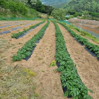 곽철수님의 자유주제 · 자유게시판 작성글 사진