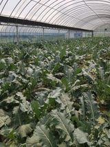 팜모닝 자유주제·자유게시판 게시글 이미지