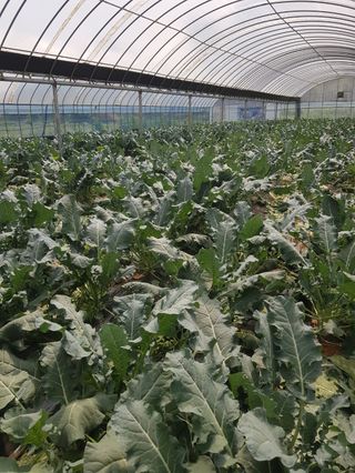 이현주님의 자유주제 · 자유게시판 작성글 사진