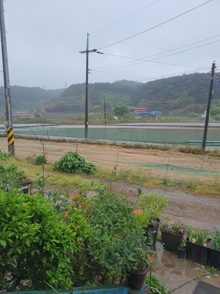 엘림농장님의 우리동네 · 동네자랑 작성글 사진