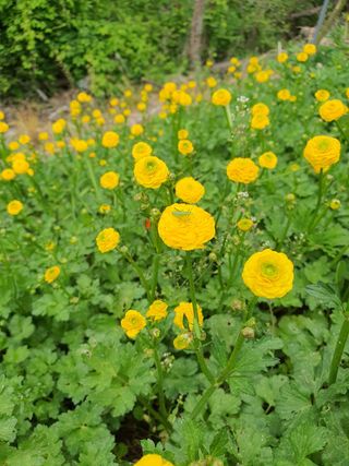 엘림농장님의 우리동네 · 동네자랑 작성글 사진