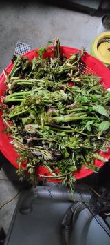 팜모닝 자유주제·사진전 게시글 이미지