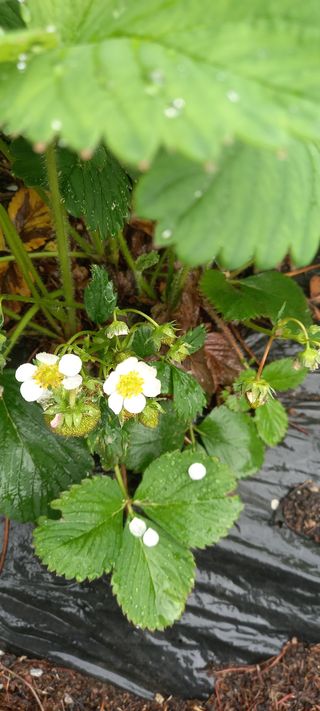 장만월님의 자유주제 · 자유게시판 작성글 사진