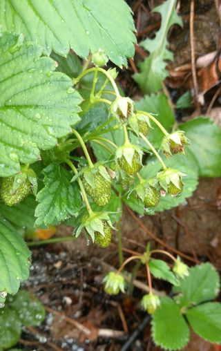 장만월님의 자유주제 · 자유게시판 작성글 사진