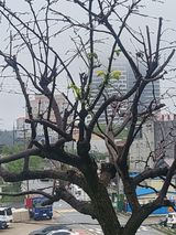 팜모닝 자유주제·자유게시판 게시글 이미지