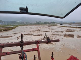사천시향촌동 돼지띠님의 벼 · 자유게시판 작성글 사진
