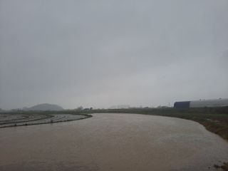 사천시향촌동 돼지띠님의 벼 · 자유게시판 작성글 사진