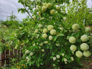 갈마골님의 자유주제 · 자유게시판 작성글 사진