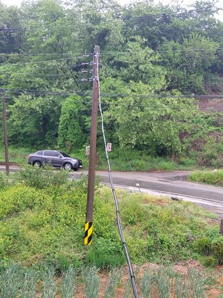 베리맘님의 블루베리 · 자유게시판 작성글 사진