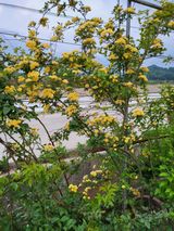 팜모닝 자유주제·자유게시판 게시글 이미지