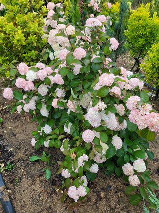 김옥균 님의 자유주제 · 자유게시판 작성글 사진