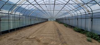 채경희님의 자유주제 · 자유게시판 작성글 사진