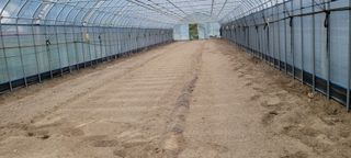 채경희님의 자유주제 · 자유게시판 작성글 사진