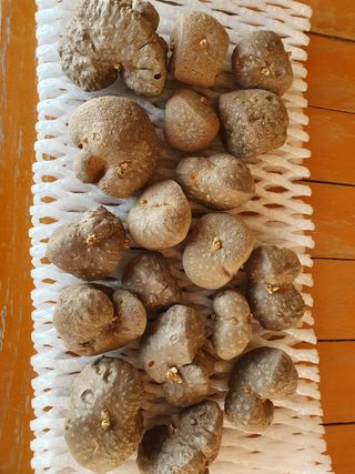 베루시카님의 자유주제 · 자유게시판 작성글 사진