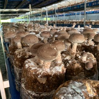 장성훈님의 작성글 사진