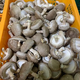 장성훈님의 작성글 사진