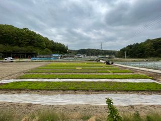 이재운님의 자유주제 · 자유게시판 작성글 사진