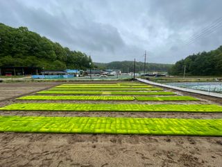 이재운님의 자유주제 · 자유게시판 작성글 사진