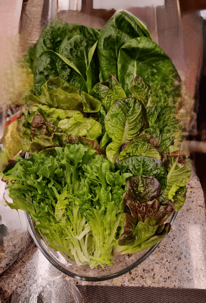 장터 상품 [샐러드 모듬1kg] 썸네일