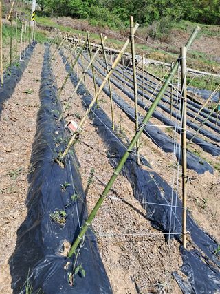 곽덕순님의 자유주제 · 자유게시판 작성글 사진